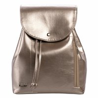 Volnočasový batoh DAG zlatostříbrný